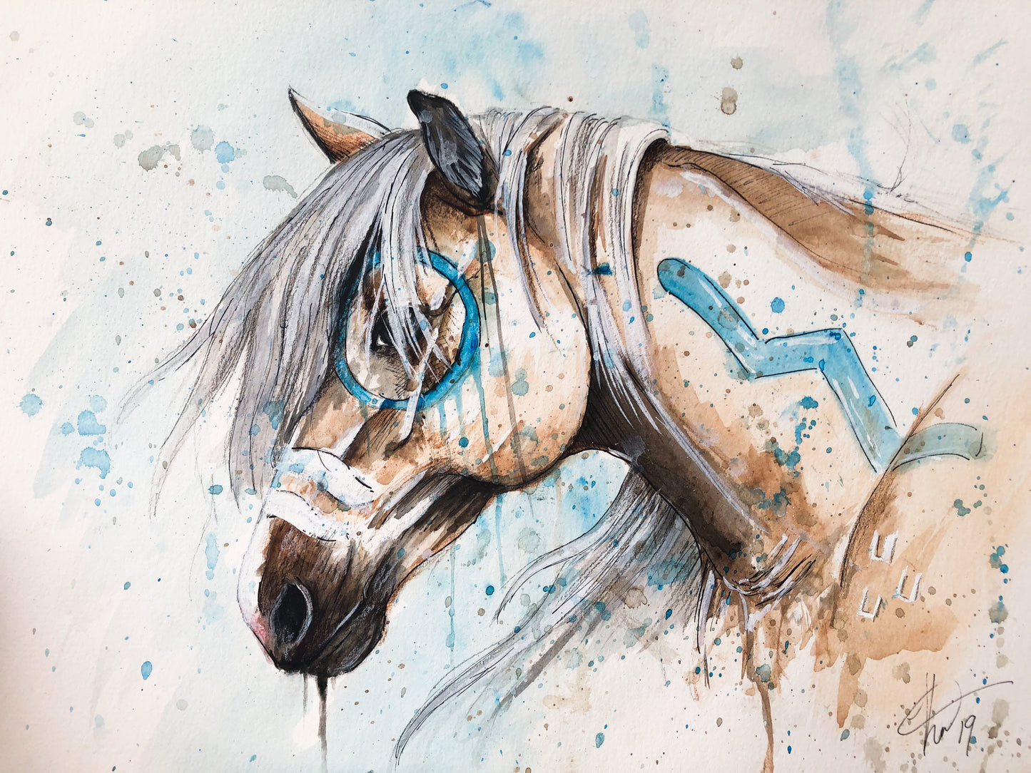 Indian Pony Paintings